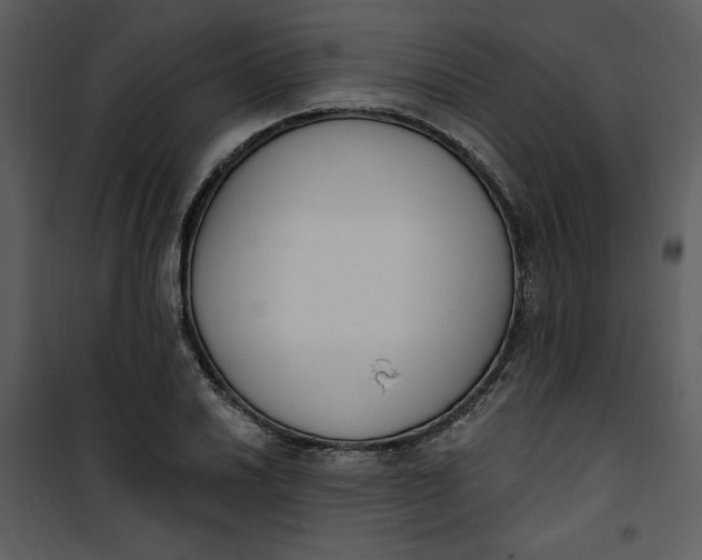 X0000101231030200807181558