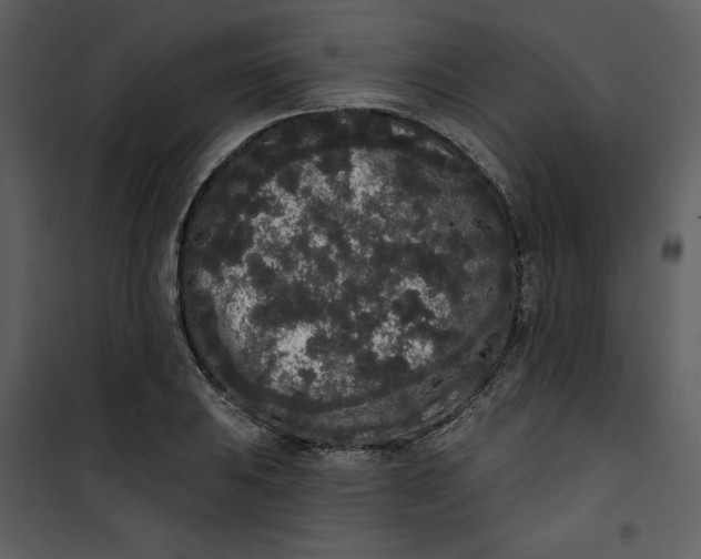 X0000101231031200807181558