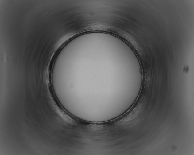 X0000101231034200807181558