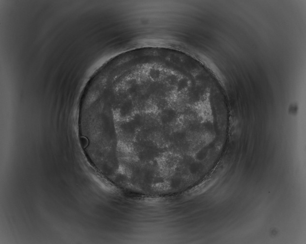 X0000101231035200807181558