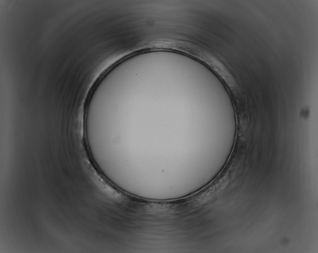 X0000101231036200807181558