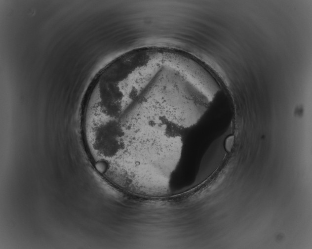 X0000101231037200807181558