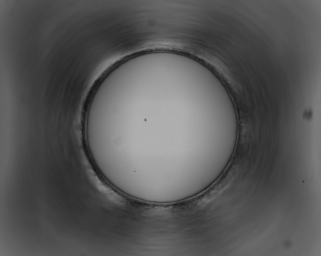 X0000101231038200807181558