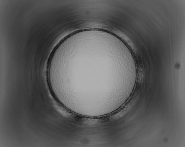 X0000101231039200807181558