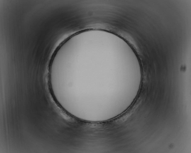 X0000101231040200807181558