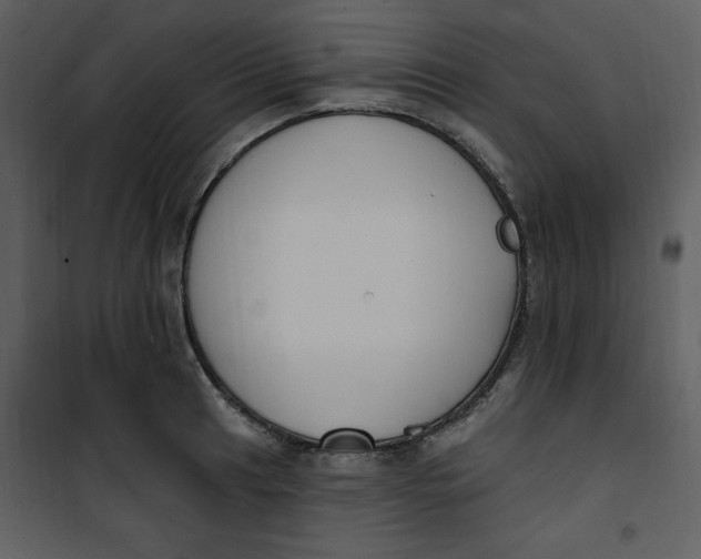 X0000101231041200807181558