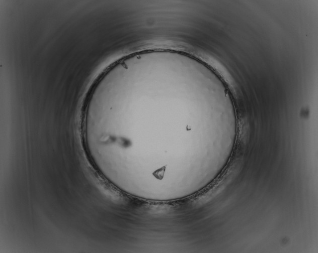 X0000101231043200807181558