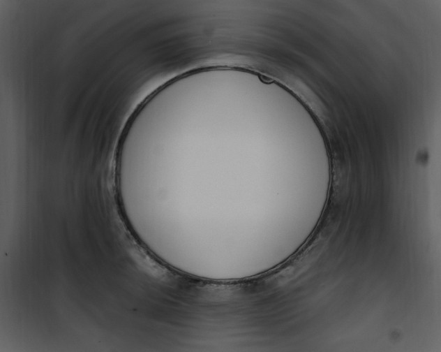 X0000101231044200807181558