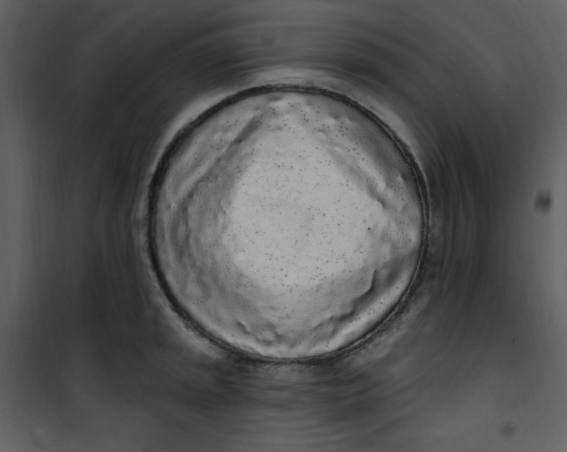 X0000101231045200807181558