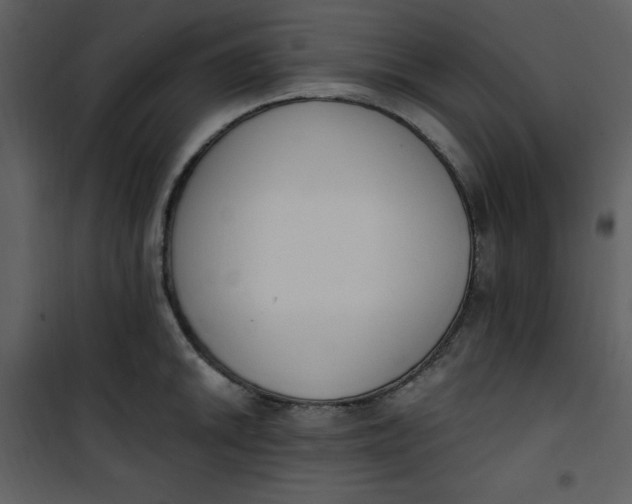 X0000101231046200807181558