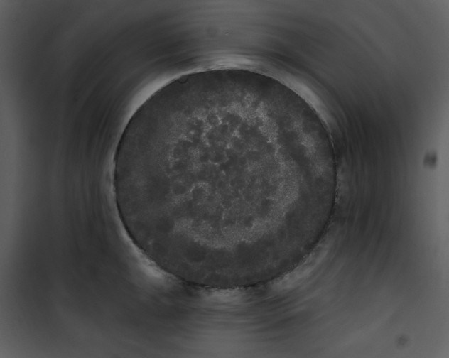 X0000101231047200807181558