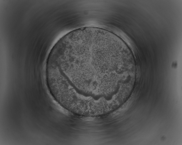 X0000101231048200807181558