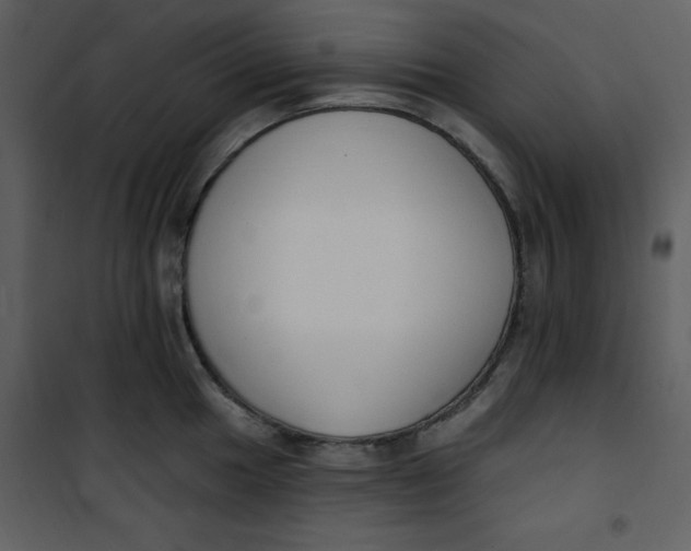 X0000101231049200807181558