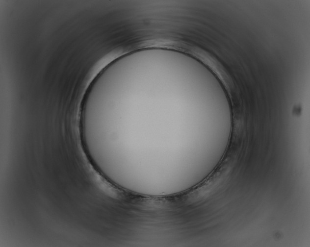 X0000101231050200807181558