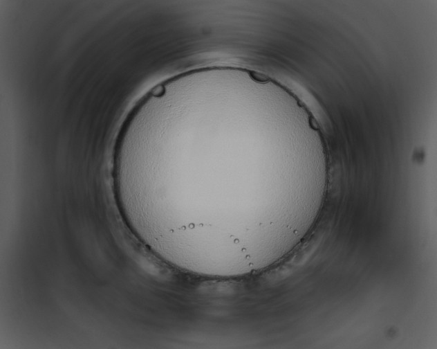 X0000101231051200807181558