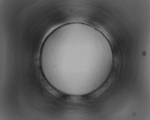 X0000101231052200807181559