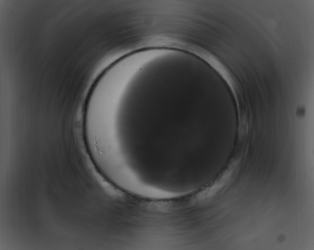 X0000101231053200807181559