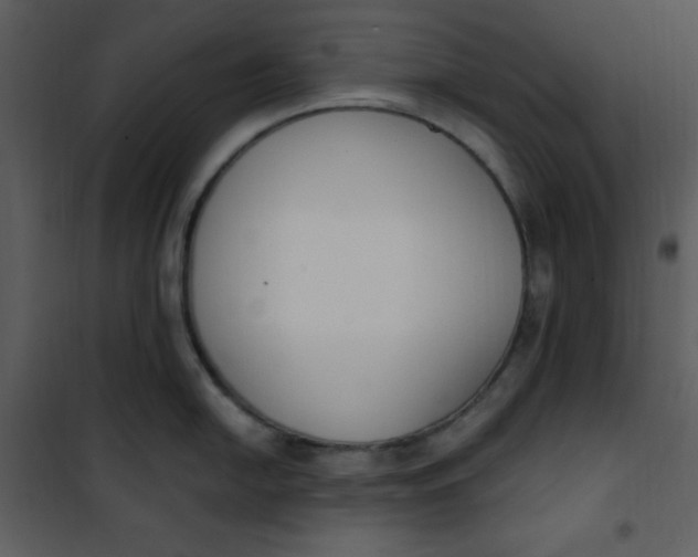 X0000101231054200807181559