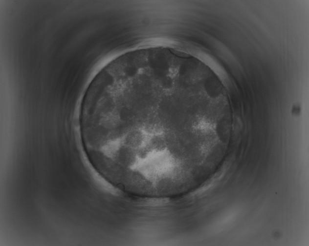 X0000101231055200807181559