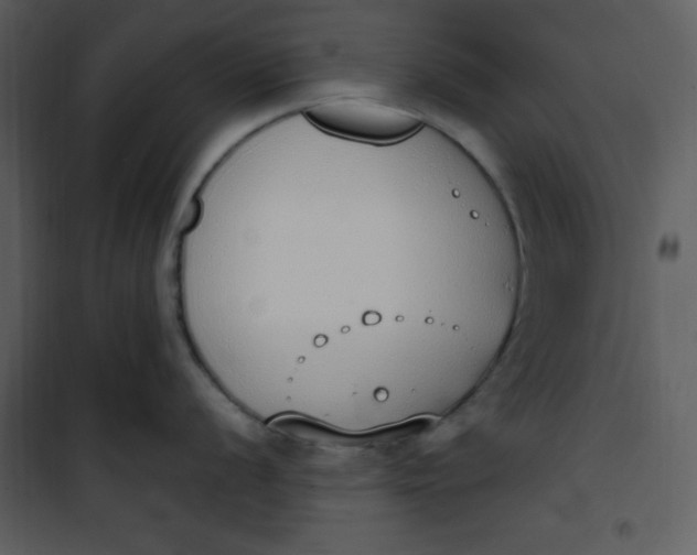 X0000101231056200807181559