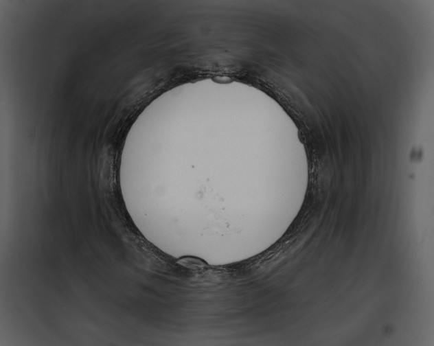 X0000101231058200807181558