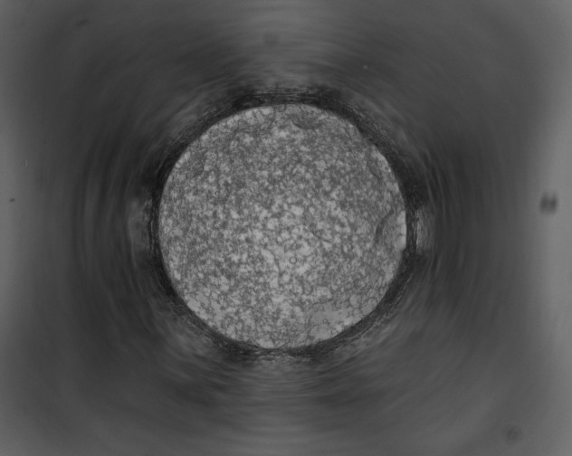 X0000101231059200807181558