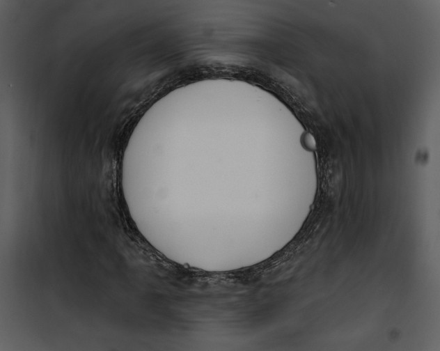 X0000101231061200807181558