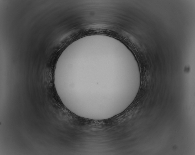 X0000101231062200807181558