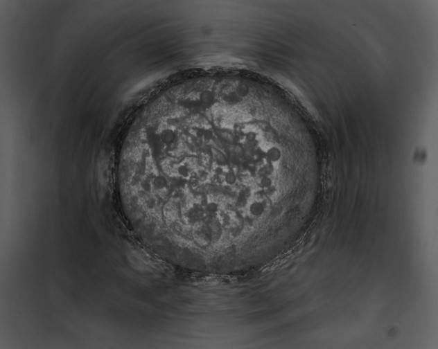 X0000101231063200807181558