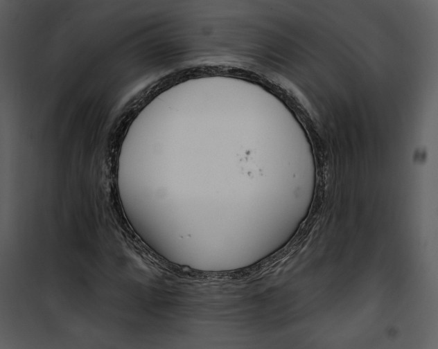 X0000101231064200807181558