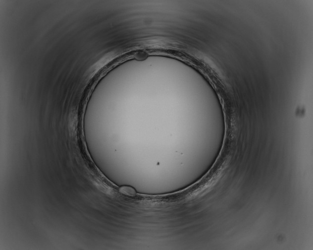 X0000101231065200807181558