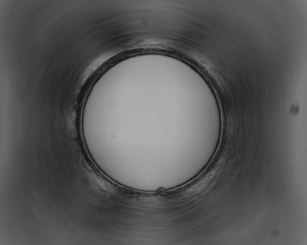 X0000101231066200807181558