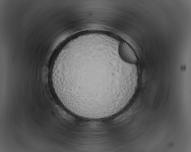 X0000101231067200807181558