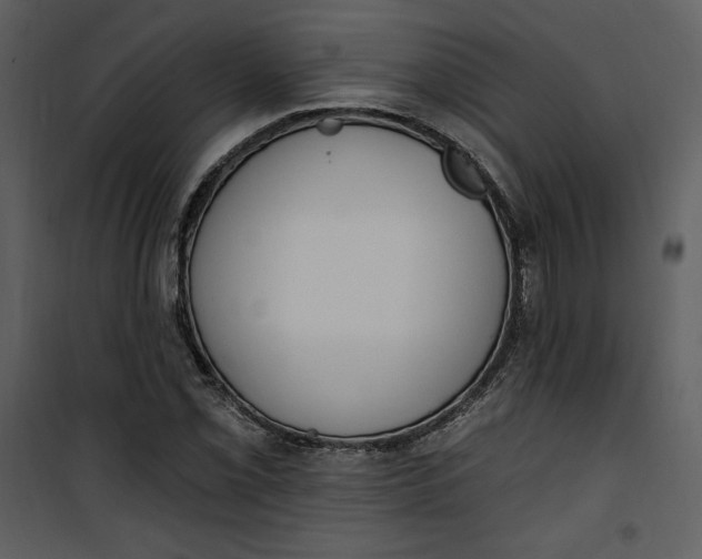 X0000101231069200807181558