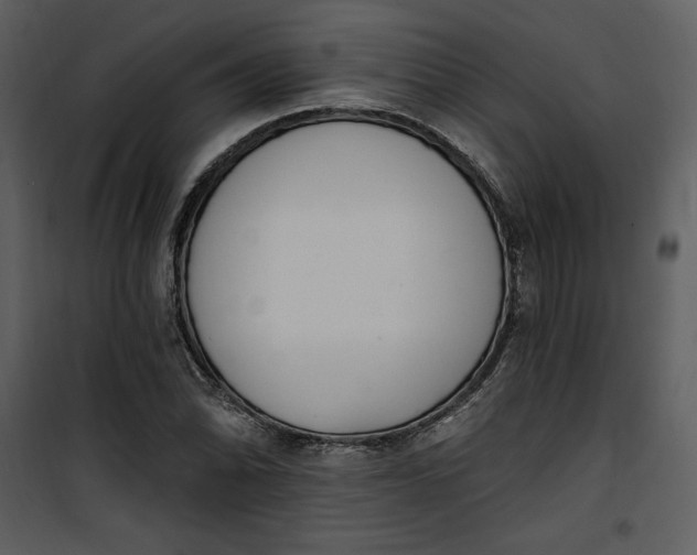 X0000101231070200807181558