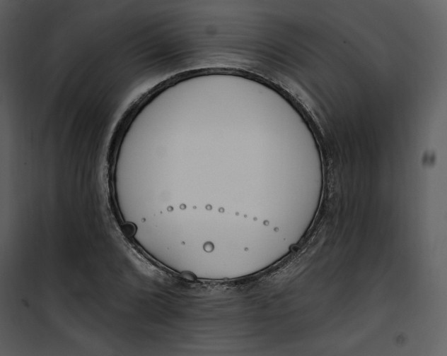 X0000101231072200807181558