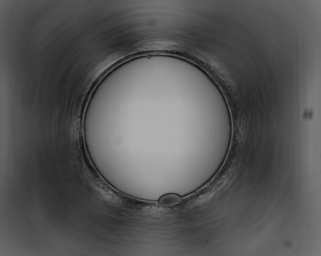 X0000101231073200807181557