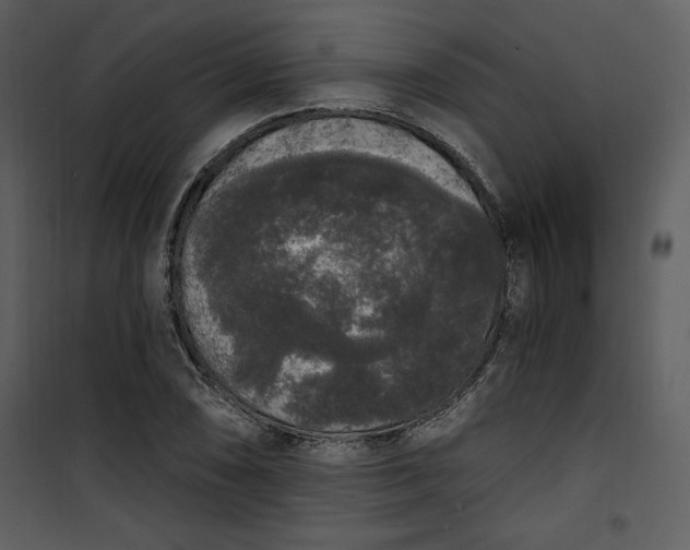 X0000101231074200807181557