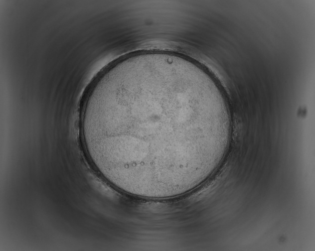 X0000101231075200807181557