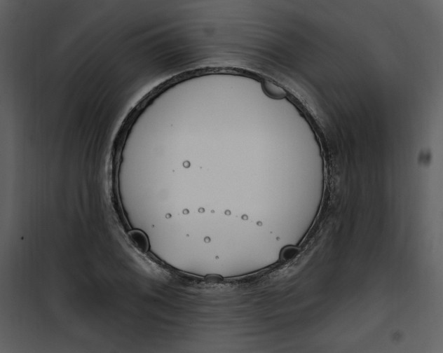 X0000101231076200807181557