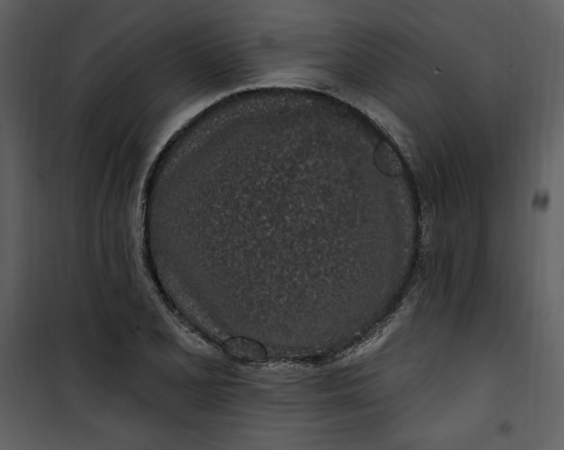 X0000101231077200807181557