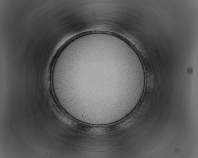 X0000101231078200807181557