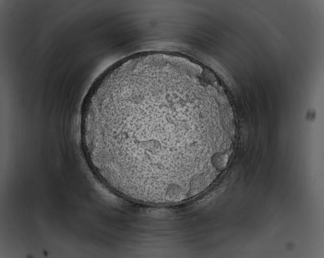 X0000101231079200807181557