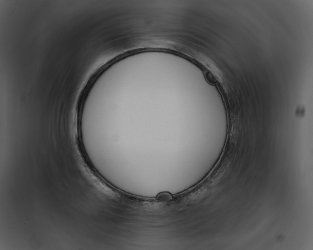 X0000101231080200807181557