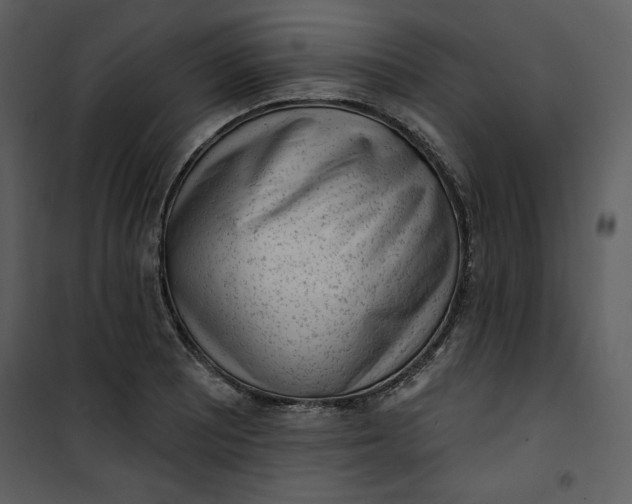 X0000101231081200807181557