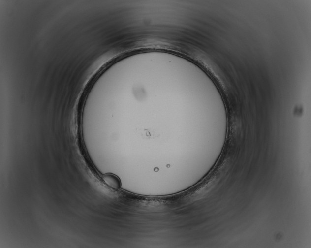 X0000101231082200807181557