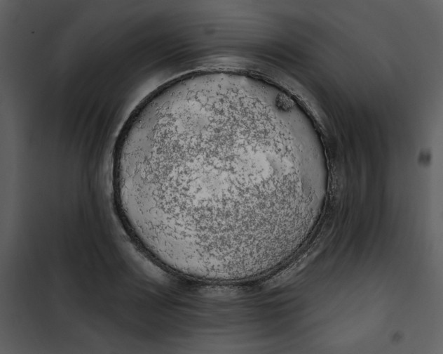 X0000101231083200807181557