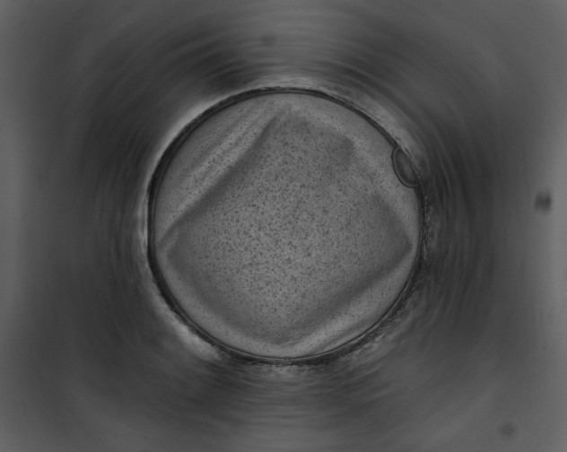 X0000101231084200807181557