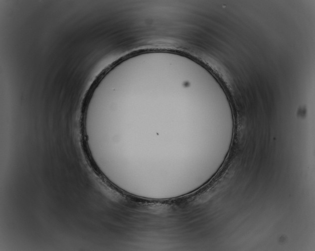 X0000101231085200807181557