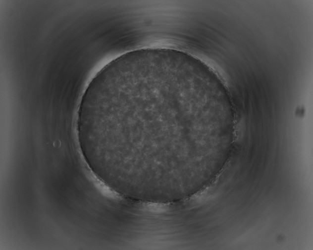 X0000101231086200807181557